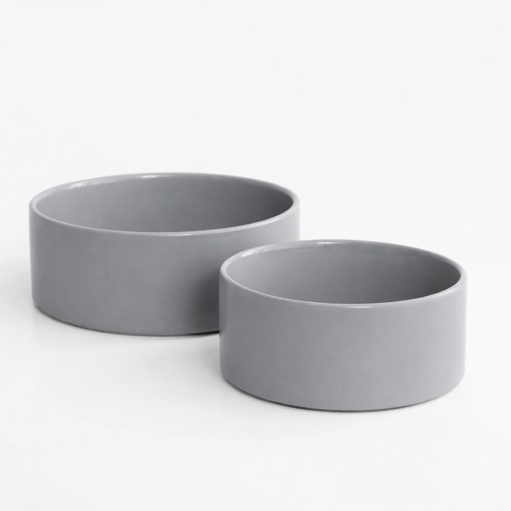 Alota Dog Bowl