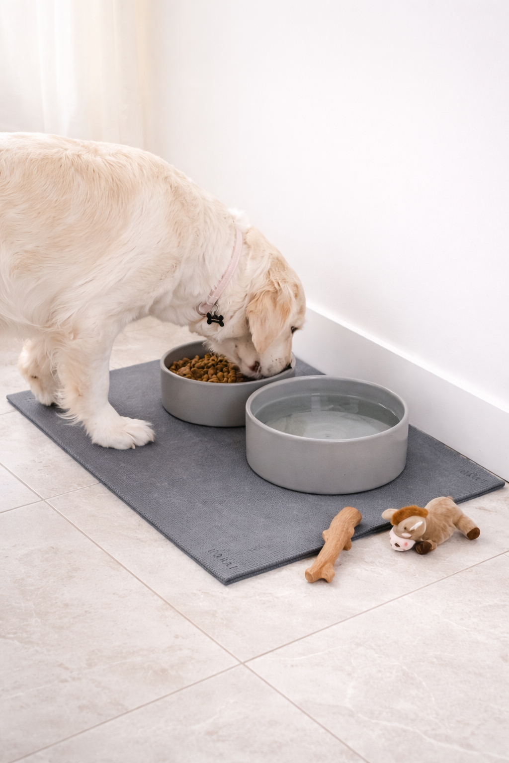 Alota Dog Bowl