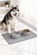 Alota Dog Bowl