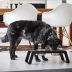 Alota Duo Dog Feeder