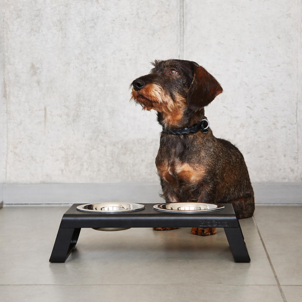 Alota Duo Dog Feeder