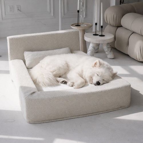 Alota Modern Dog Bed